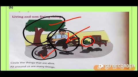 Grade 2 EVS Dated 05 08 2021