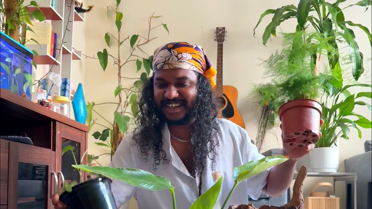 Terrarium വീട്ടിൽ ഉണ്ടാക്കാം ❤️