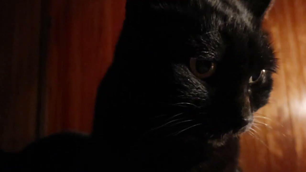 2025/12/08からの一週間の運勢（超次元占星術®︎）