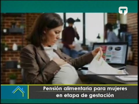 Pensión alimentaria para mujeres en etapa de gestación