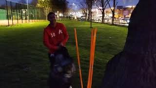 Spying One Of The Most Serious Football Managers In Romania. Petrut Pastin Eurogol Bucuresti Academy