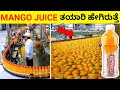 Top 12 Interesting And Amazing Facts In Kannada | Unknown Facts | Episode No 02 | InFact Kannada