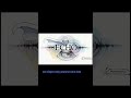 Why is it Called an "Echo"? (The Amazing Truth)#science