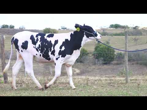 LOTE 39 6259 CR