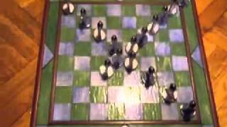 Stop Motion Patterns