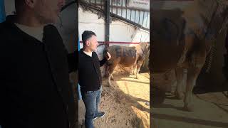 Erdal Beye Bu Güzel Yorumlari İçi̇n Çok Teşekkür Ederiz Ik I