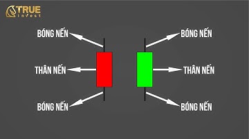 CÁCH ĐỌC BIỂU ĐỒ NẾN NHẬT CANDLESTICK | HỌC CHỨNG KHOÁN CƠ BẢN CÙNG TRUE INVEST