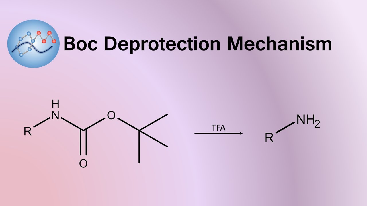 Boc Deprotection Mechanism | Organic Chemistry