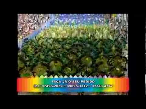 Desfile Império da Tijuca 2014