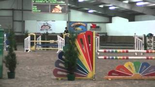 Standing De Virton 6 Yrs Cashmire Sporthorse Bart Gommeren