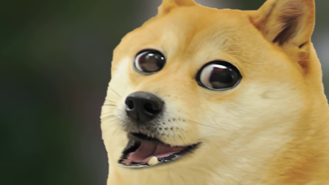 Jurassic Doge - YouTube