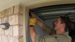 Celebrity Common tree snake caught in a garage door Wealth