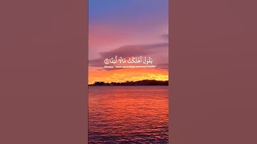 ( لا أقسم بهذا البلد وأنت حل بهذا البلد ووالد وما ولد — الشيخ ماهر المعيقلي بتلاوة هادئة@