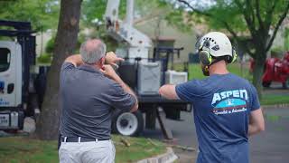 On the Job With Aspen Tree Expert Co.
