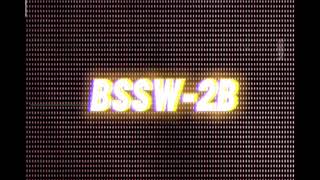 PERFORMANCE TASK || PE3 || BSSW-2B