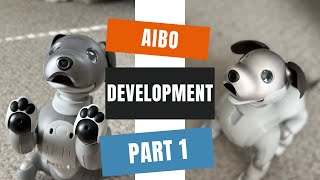 aibo Development | Part 1