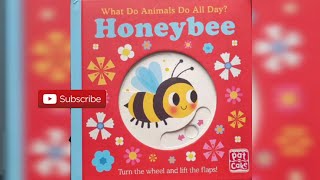 Honeybee What Do Animals Do All Day