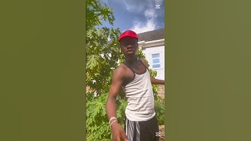 ai elephant carry lion #ai #reaction #comedyai #funnyai #aivideo #react #shorts