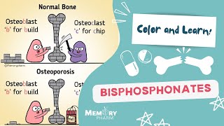 Bisphosphonates Made Easy (Mnemonics, Mechanism of Action, Side Effects, Counseling)