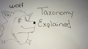 Taxonomy Explained