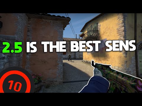 CSGO FACEIT LEVEL 10 - DESTROYING PLAYERS WITH THE NEW SENS✖️