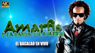 Amarfis Y La Banda Del Atakke  -  El Bacalao EN VIVO 4K