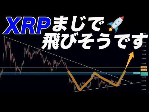リップルこの動きしたら上に飛びます。ビットコインも爆上げサイン点灯!!4月からは期待しかありません。【仮想通貨】