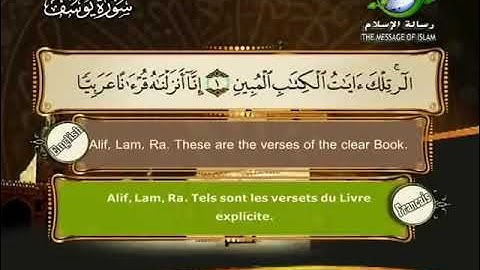 الشيخ مصطفى اللاهوني سورة يوسف❤️