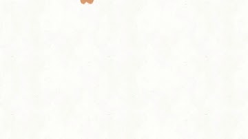 Snack attack new intro (pre view