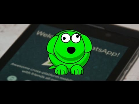 whatsapp takip whatsdog