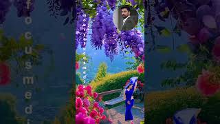      Aawaz Deke Hame  Hd   Professor 1962  Shammi Kapoor  Kalpana