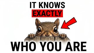 The Squirrel In Your Yard Has Been Watching You. Here's What It Knows.
