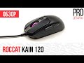 Обзор Roccat Kain 120. Стоит вашего внимания!