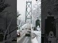 20cm of snow at Vancouver lion gate bridge! #vancouver #shorts #shortsvideo
