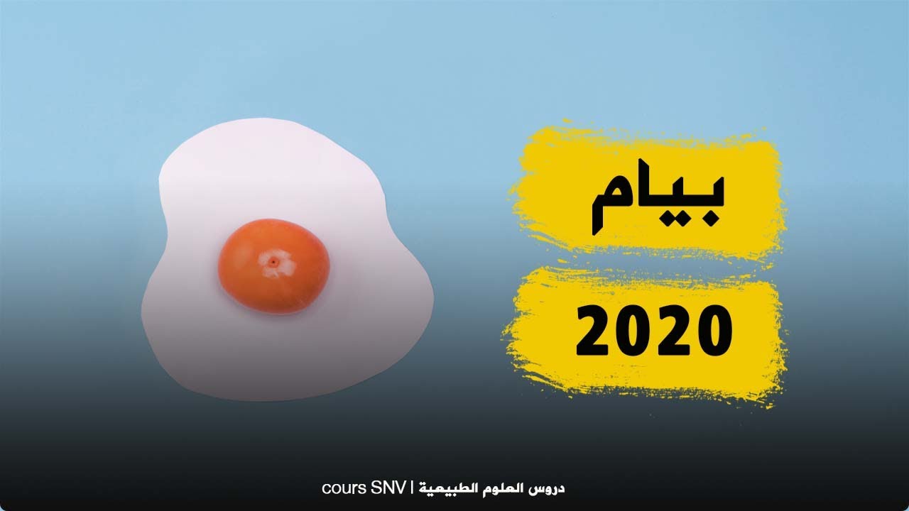 للمقبلين على شهادة التعليم المتوسط