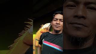 Bobby kangen majikan sehari gak jumpa #acillicachannel salamku untuk semua 🙏🙏🙏