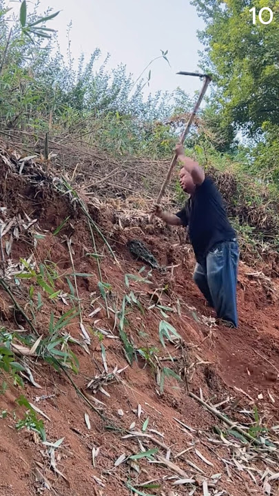 Pertanian desa mencangkul tanah dengan alat sederhana #shorts