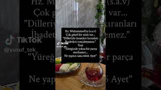 Merhamet Yoksa Napsın 6666Ayet