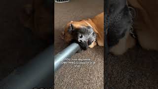 Someone Get Bro A Pillow