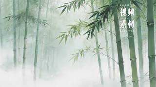 可商用视频素材｜水墨竹林古风意境舞台led背景 #视频素材 #水墨竹林 #舞台背景 #led背景视频素材 #舞蹈背景