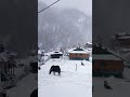 Awesome weather at Himachal pradesh#Malana# waichin valley