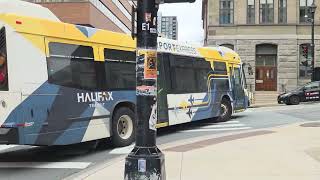 Halifax Transit Vlog bus at scotia square Terminal #halifax #canada #halifaxns #halifaxtransit 