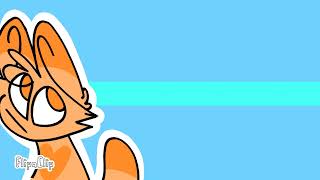 animation cat test out