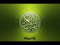 سورة القصص القارئ عامر الكاظمي سورة القصص القارئ عامر الكاظمي