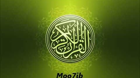 سورة القصص   القارئ عامر الكاظمي