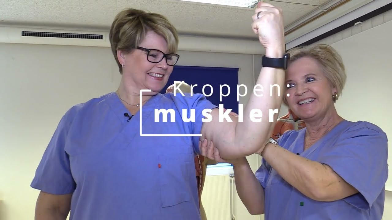 Kroppen: muskler