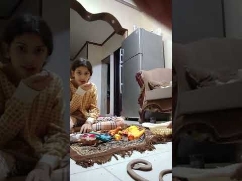 يوميات عائله مجنونه جدا جدا بودي وبطه ومامتهم اجن كابلز وكوكتيل ٢٤ أكتوبر ٢٠٢٤ ٢٦ أكتوبر ٢٠٢٤