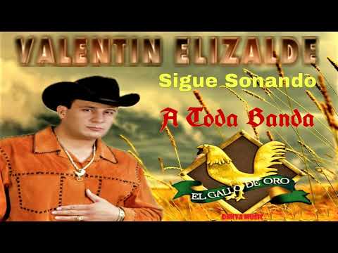Corrido El Gallo De Oro Valentín Elizalde Letras Com