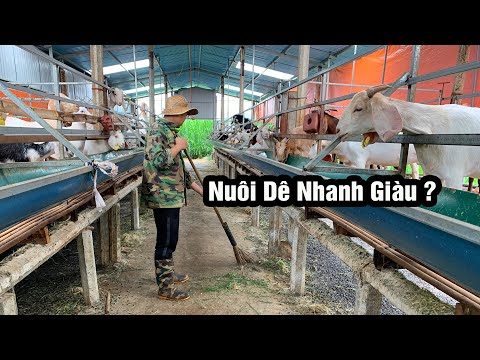 Video: Nuôi Con đến Một Năm