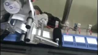 Automatic labeling machine 